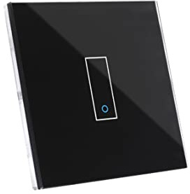 Iotty E1 WLAN-Smartschalter für Beleuchtung und Tore, kompatibel mit Google, Fernsteuerung per App für IOS und Android, Touch-Blende aus gehärtetem Glas mit Hintergrundbeleuchtung., LSWE21B, Schwarz