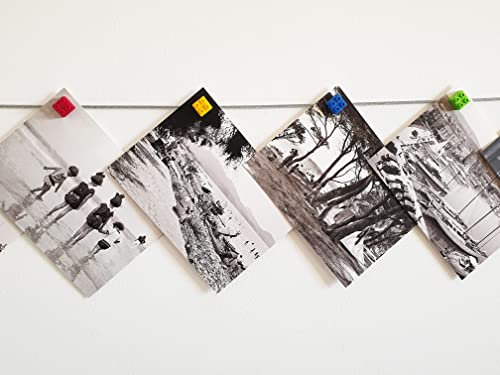 LeTOMA Fotoseil mit bunten Magnet-Bausteinen - 200 cm & 16 magnetische Bauklötze - Ideal um Fotos schnell und einfach ohne Rahmen aufzuhängen - Fotoleine mit Magneten - Bilderseil Made in Germany