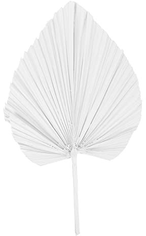 BIUDECO 1pièce Décoration Palmier Artificielles pour Mariage Élégant Décor Floral Séché pour Intérieur Et Extérieur Accessoire Photo Et Arrangement De Fête Facile Entretien Et