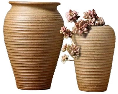 Vasi Fiori Interno Grande set di due pezzi di vasi for piante vintage Piante succulente Vasi da fiori in ceramica grezza Vasi alti in ceramica Fioriere for casa/ufficio/giardino Vasi da Fiori