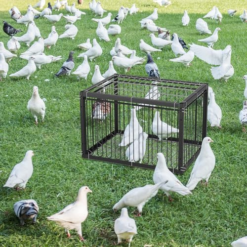 MUALROUS 43CM Cage à Pigeons avec Conception à l’Épreuve De l’Évasion Pigeon Dove Cage à Oiseaux Cage Pliant Entrée à Sens Unique Patio Extérieur Jardin Cage sans Cruauté pour Moineau Souris Lapin