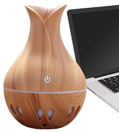 Diffusore d'aria a LED - Umidificatore domestico a più colori, aromaterapia ad ultrasuoni ricaricabile tramite USB con funzionamento silenzioso | Vaporizzatore di oli essenziali purificatore per il re