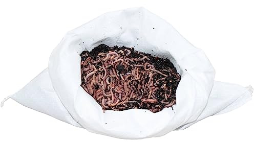 0,5 kg trädgårdsmaskar – för 50 m² yta – jordförbättrare – det enklaste och mest naturliga sättet att lossa och ventilera din trädgårdsgolv – lossa upp lergolv