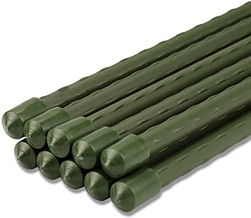 Pack of 12 Garden Stakes 11mm x 60cm Plant Stakes Sturdy Plant Support (11mm x 60cm)