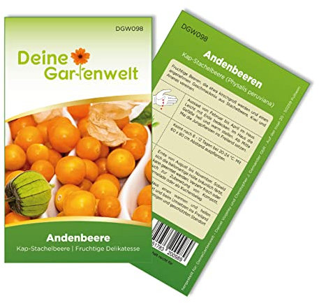 Physalis Andenbeere Kapstachelbeere Samen - Physalis peruviana - Andenbeerensamen - Obstsamen - Saatgut für 50 Pflanzen