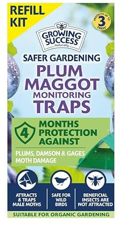 Growing Success Plum Maggot Trap Refill – Pheromone Lure Replacement for Plum, Damson & Gage Tree Protection, Prevents Maggot Damage, Eco-Friendly, Ideal for Organic Gardening & Pest Control