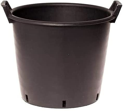 Muddy Hands Heavy Duty Large Plastic Plant Pot with Handles Outdoor Garden Vegetable Salad Flower Tree Planter Container (1, 60 Litre)