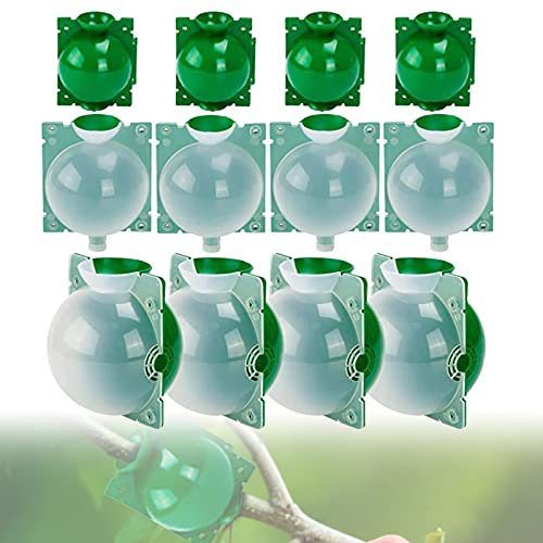 Uennm 12PCS Boîte de greffage de Plantes, Propagateur de Coupe plante, Boîte d'Enracinement réutilisable, pour Greffe d'arbres fruitiers, clonage de plante