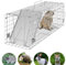 Piège à souris, rats, martres, chats, dormeurs en 61 x 19 x 21 cm, grand piège à souris, réutilisable, pour animaux vivants