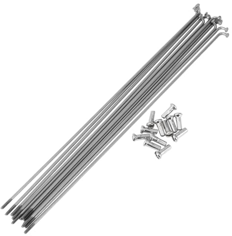 HEROFFIX Set da 12 Raggi per Bicicletta 14G, Raggi per Ruota Bici in Acciaio Inossidabile 304, tonalità Argento