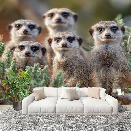 Fotomurales 200x140 cm Animales Suricatas Primer Plano Decoración Muro Murales Papel Pintado tejido no tejido Verde Moderna Panoramico Fotográfico Adhesivos Impermeable Papel Tapiz