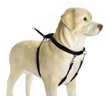 Beeztees 749761 Gentle Walker Klein, schwarz