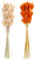 120 Pzs Pampas Secas Decoracion, Hierba Natural de Pampas Secas, Flores Secas, Hierba Seca de Cola de Conejo, Secas de Colas de Conejo, Pampa Hierba Hierba Cola de Conejo,Ramo de Hierba de Pampas Seca