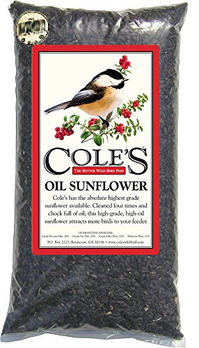 Cole's OS08 Black Oil Sunflower Bird Seed, 8 lb