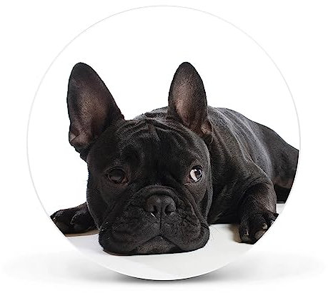 banjado Magnettafel Ø 47cm Weiß - Magnetwand aus Metall - Magnetpinnwand als Memoboard - Pinnwand Magnettafel Küche, Büro, Kinderzimmer inkl. 4 Magnete & Montageset - Bulldogge