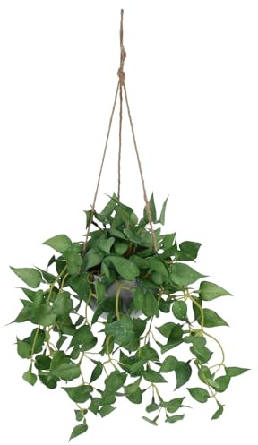 STOBAZA Decoración Colgante de Plantas Artificiales de Ratán Realista, Enredadera de Plástico Verde para Pared, Decoración de Hogar y Jardín, Planta Colgante Pequeña para Interior