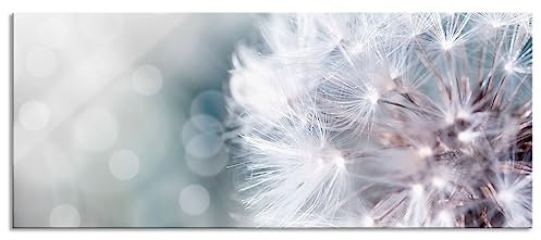 Pixxprint Glasbild Panorama, Wandbild aus Echtglas, Zauberhafte Pusteblume, 120x50 cm, inkl. Aufhängung und Abstandshalter