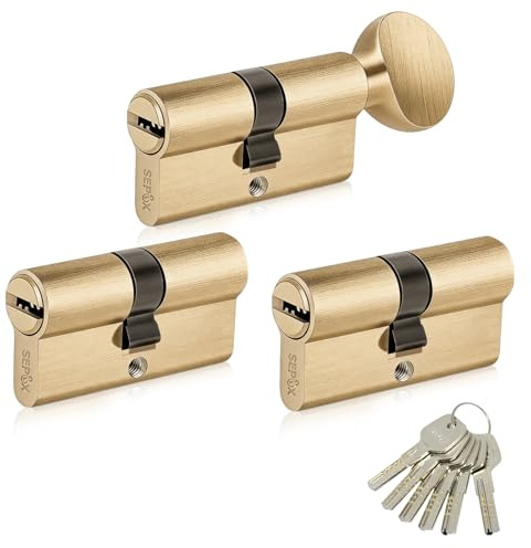 SEPOX Cilindro europeo per porta, con 2 cilindri europei e 1 giro a pollice, placcato in ottone, 60 mm, con stesse chiavi, ad alta sicurezza, chiave al computer