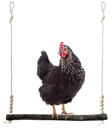 demaxiyad - Columpio para Pollos, de Madera para Aves de Corral, Juguetes de enriquecimiento para gallinas, para Amantes de los Animales, ganaderos, Agricultores, refugios, Granja, huerto