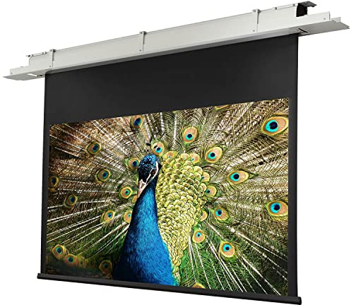 Celexon Deckeneinbau Leinwand Motor Expert 220 x 124 cm