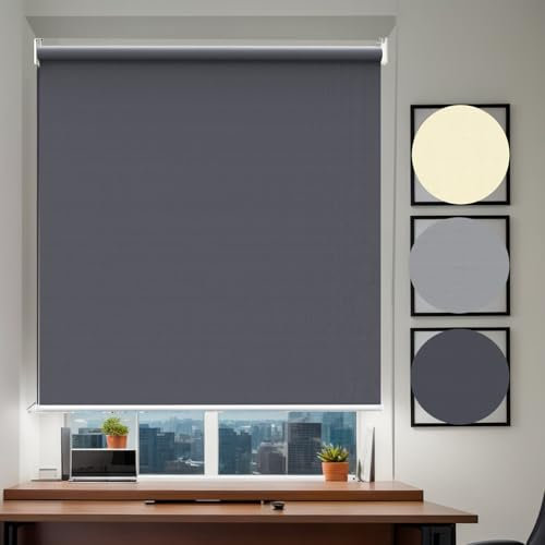 Alpstorm Verdunkelungsrollo 180x240cm, Außenrollo mit Thermo- & UV-Schutz, 100% lichtundurchlässig, für Fenster/Balkon/Tür, Anthrazit