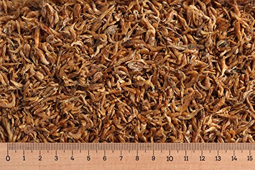 (Grundpreis 11,80 Euro/kg) - 5 kg Shrimps 1-2 cm, Garnelen, Reptilienfutter, Schildkrötenfutter