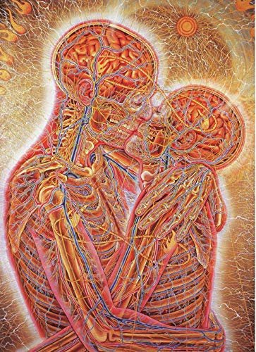 JWJQTLD Leinwanddruck Trippy Alex Gray Abstrakte Wandkunst Leinwand Malerei Poster Und Druckbilder Wohnzimmer Dekoration Wohnkultur, 70X100Cm Ohne Rahmen