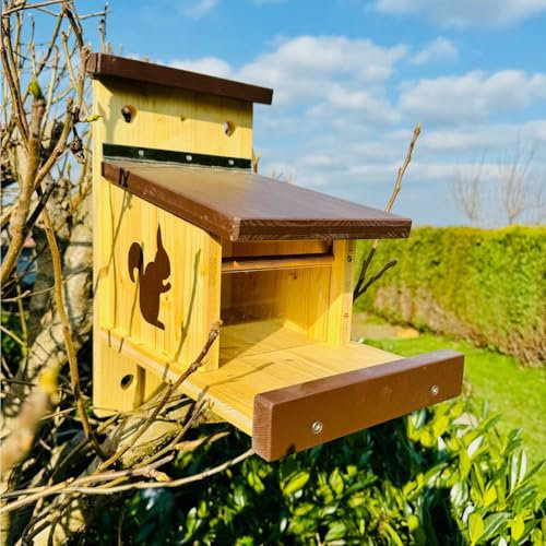 DARLUX Stabiles Eichhörnchen Futterstation I Wetterfest I verschraubtes Massivholz I Futterhaus Massivholz zur Wandmontage I Braun I Artgerecht nach NABU gefertigt