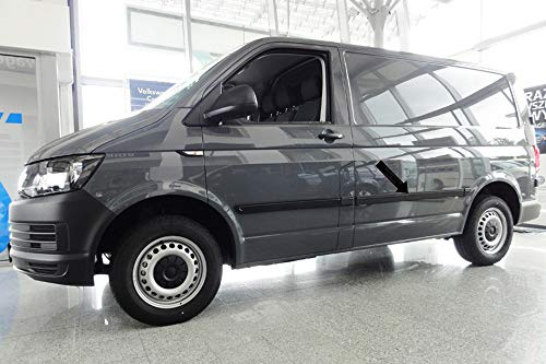 Spangenberg Seitenschutzleisten schwarz passend für Volkswagen VW T6 Langer Radstand ab 04.2015- F38L (3700099)