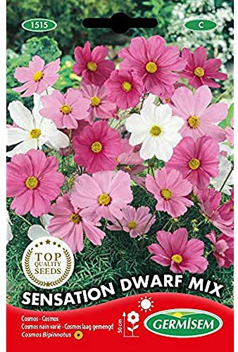Germisem Graines Cosmos nain varié SENSATION DWARF MIX