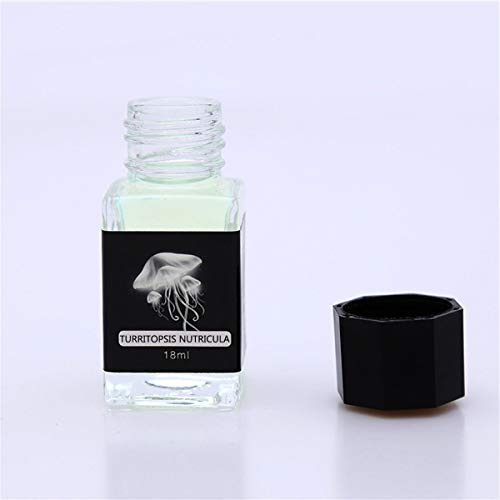 Ixkbiced 18 ml kohlenstofffreie magische unsichtbare Tinte für Brunnenglas-Dip-Stift