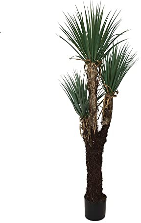 Keyhomestore- Pianta artificiale di Yucca, a tre rami stretti, Altezza cm 150, ideale come arredo per interni.