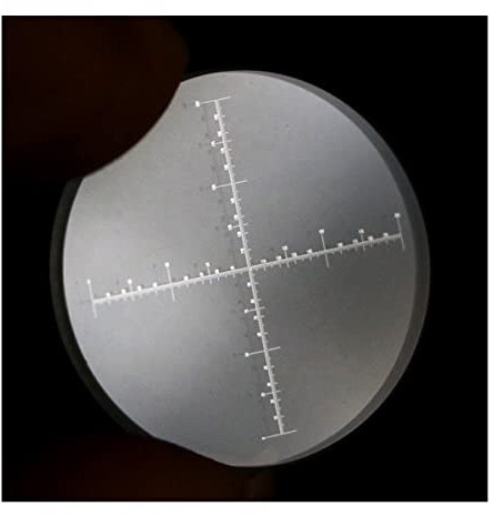Mikroskop 952 Kreuztisch-Lineal Optisches Glas-Mikroskop-Mikrometer Okular-Schiebemaßstab Fadenkreuz-Lineal for Messen(24mm)