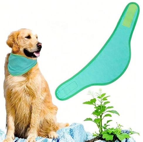 Dog Cat Puppy Cooling Bandana Pet Cooler Ice Cool Scarf Collar Relief Med (Green, L)