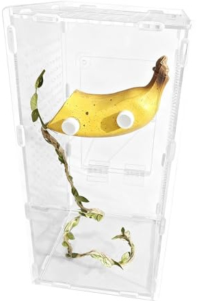 Hoppspindel Terrarium Tillbehör - Magnetiskt Skydd Frukt Design För Terrarium,Gömställe För Hoppspindlar - Pampasgräs Sköldpaddor Drakar Skäggagamer Geckos Halloween Gräs