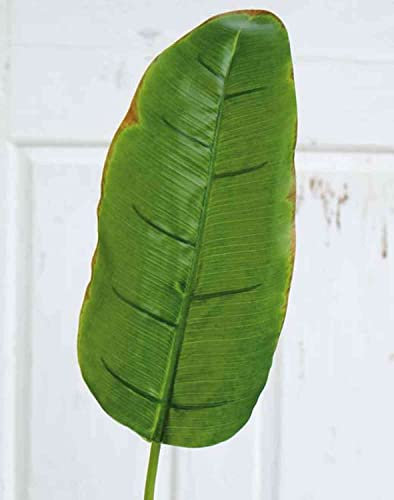 artplants.de Feuille de bananier synthétique Yumi, Vert, 95cm - Feuille de bananier Artificielle