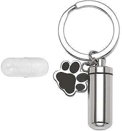 YEJBBUC Urna de cremación para mascotas, caja de urna de entierro para perros y gatos, llavero de cenizas de 2,8 x 1,1 cm