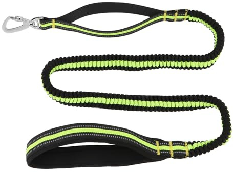 Hypeety Bungee Dog Leash for Large Dogs Shock Absorbing Heavy Duty Elastic Lead Anti-Pull Reflective Training Leash with Control Handle 4-7 FT (Green)