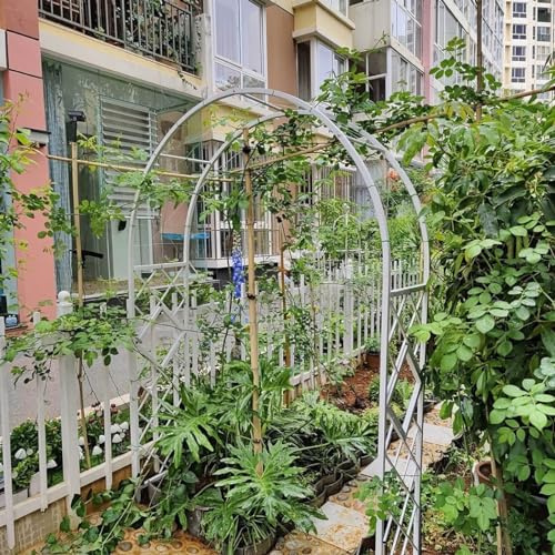 Arche de jardin en métal blanc pour plantes grimpantes – Treillis en fer de 2,6 m à 3,8 m solide pour décoration extérieure et soutien