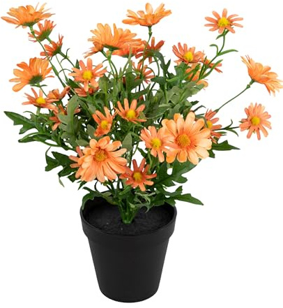 Seidenblumen Roß Margeritenbusch 36cm im Topf JA Kunstpflanzen Kunstblumen künstliche Margerite Blumen Pflanzen (Salmon)