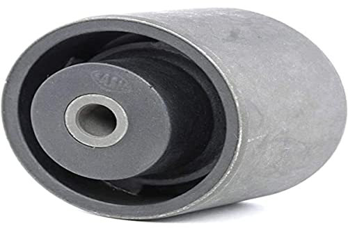 Sasic - Soporte para motor suspensión, 8003201