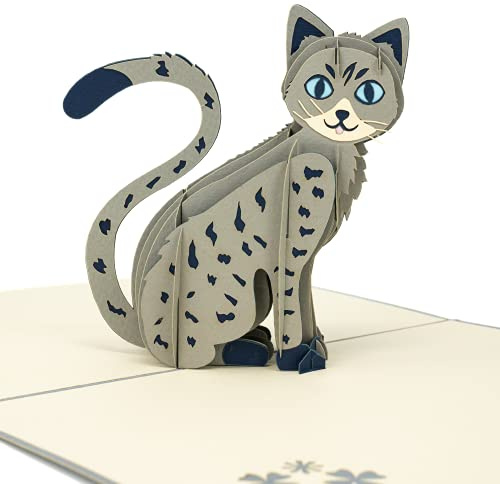 LIMAH® Pop Up 3D Katze,Geburtstagskarte, Glückwunschkarte, Freundschaftskarte, Geschenkkarte, Überraschungskarte mit einer großen grauen Katze mit großen blauen Augen