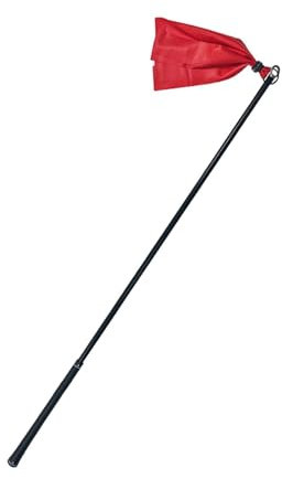Ronyme Golfschwung-Trainingsgerät, Golf-Zubehör, Übungshilfe, für Kinder, Anfänger, Sprachansagen, tragbarer Swing-Stick, Aufwärmstange