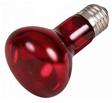 JEKOTRIBE Lampada A Raggi INFRAROSSI per TERRARI E Piccoli Animali 25 Watt