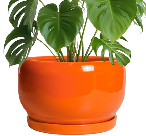 SQOWL Ceramic Planter - 10 Inch Plant Pot with Drainage Hole and Saucer, Round Modern Planter for Indoor Outdoor Plants, Decorative Large Flower Pot, House Decor, Gifts for Women Men, Orange