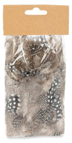 NaDeco Perlhuhnfedern 5g in Natur – 3–5 cm – Echte Bastelfedern zum Dekorieren, für DIY, Boho-Deko, Geschenkverpackung, Karten, Osterdeko, Kränze, Naturfedern zum Basteln & VerzierenㅤNatur