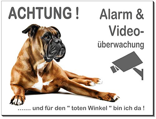 Boxer-Alarm-Video-Schild-3 Größen-Aluminium Verbund-Hund-Tierschild-Warnschild-Hinweisschild (1451-69 -300 x 200 x 2 mm mit Löcher)