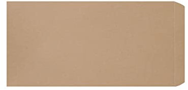 200 Stück Mini Kraftpapiertüten, Flachbeutel Geschenktüten Papier Kraft Umschlag Klein Kraftpapiertüten Mini Papiertüten für Schmuck Samentüten Candy Tüten Butterbrottüten Pralinen-braun-22x11cm