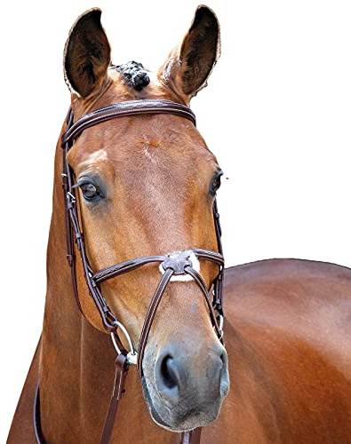Shires Salisbury Sweater Brackley Zaumzeug mit mexikanischem Reithalfter mexikanischet Reithalfter