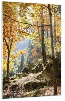 Vidrios decorativos 80x120cm Cuadro Sobre Vidrio Moderno Otoño montaña bosque naturaleza Grande Cocina Cuadros Pared Impresiones Decoracion Salon Impresión en Cristal Wall Art Prints GPA80x120-2713